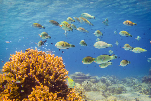 cocos keeling island photo tour example 20